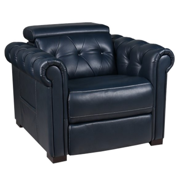 Theorem Somerset Power Lift Recliner